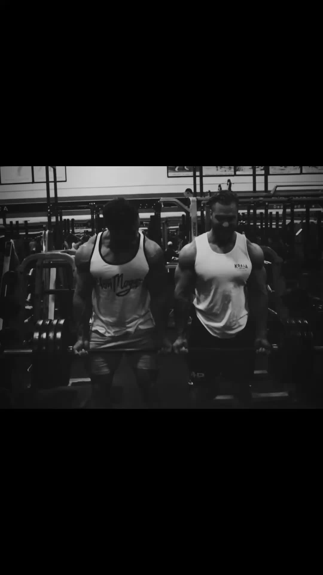 @Zyzz