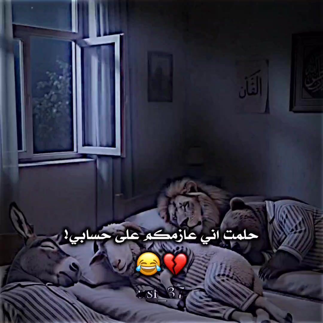 @🔹المصمم وسام🔹