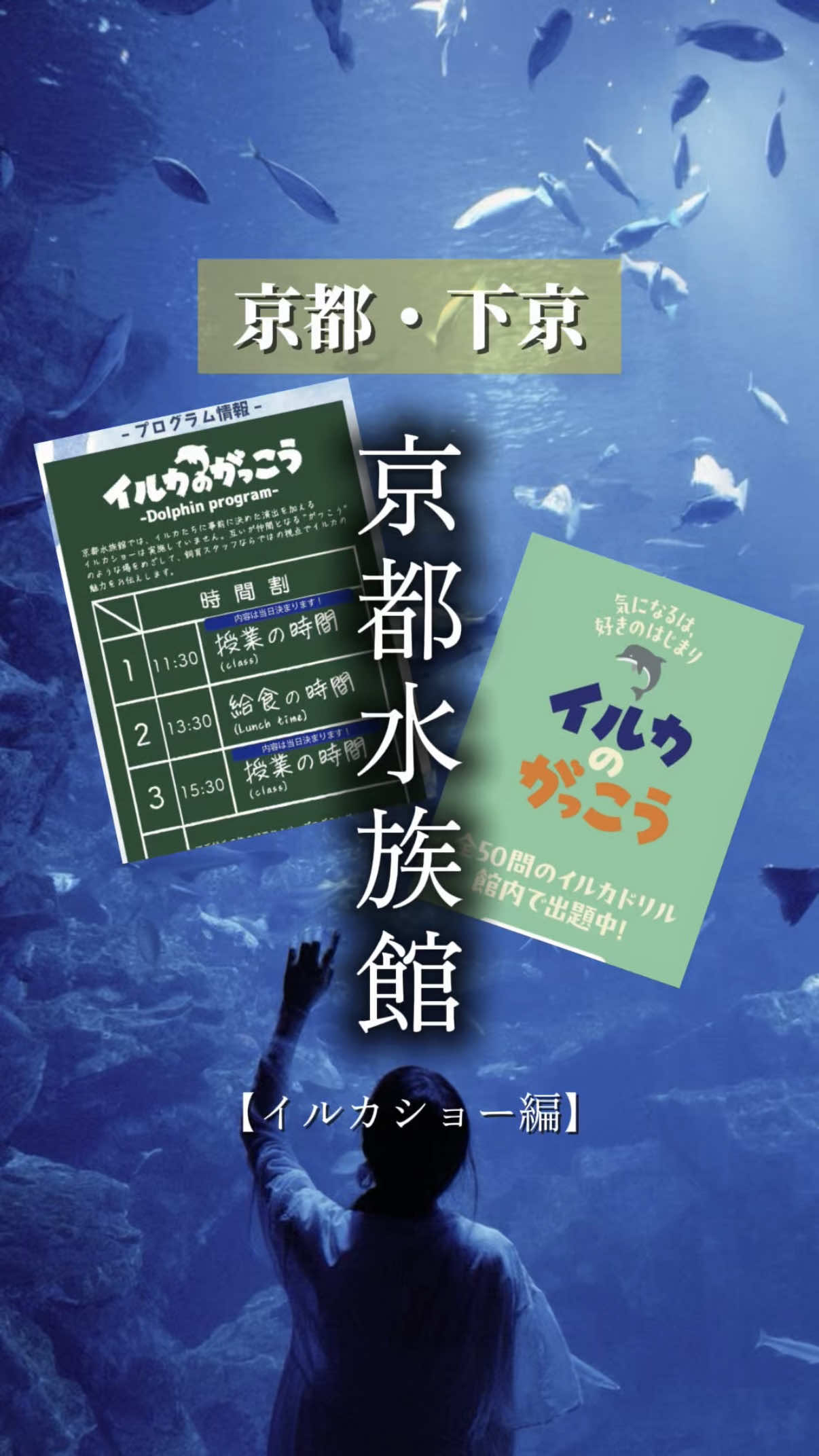 @わぃさな🐰🦷【大阪グルメ・全国旅行✈︎】
