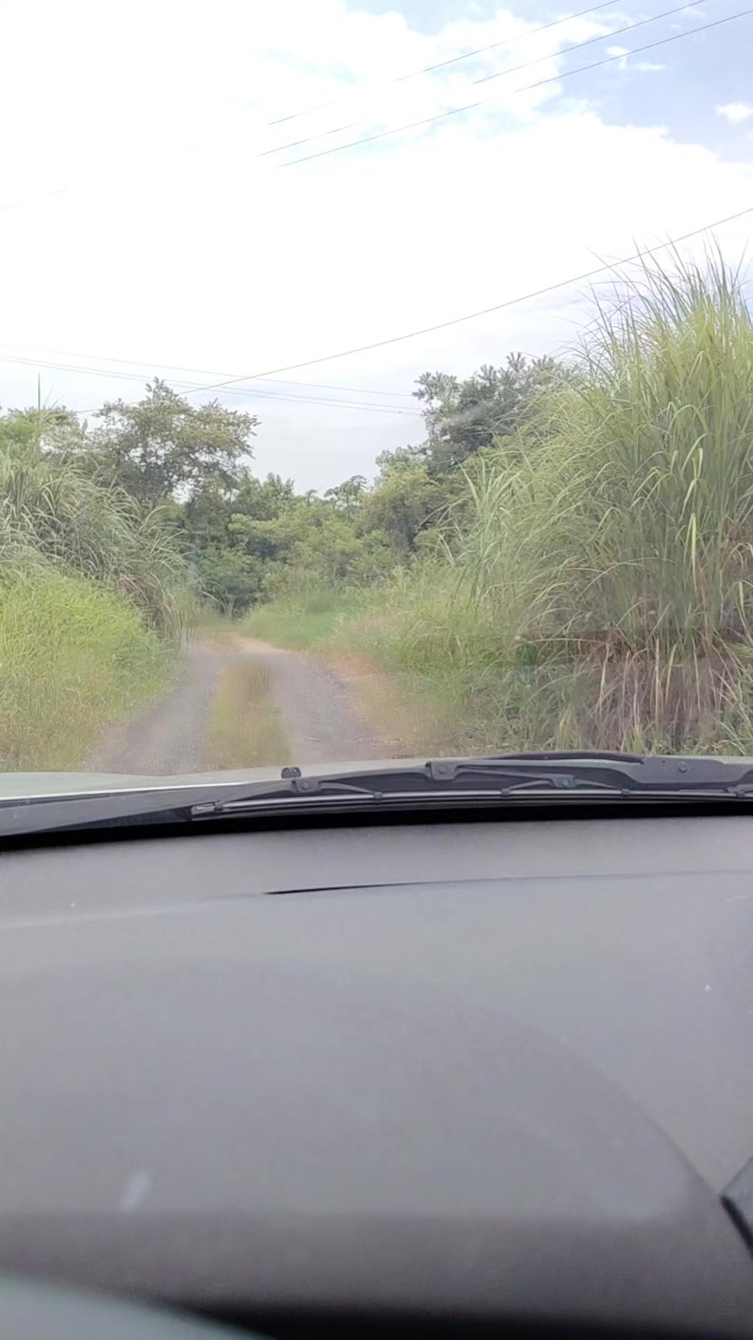 @Kinpanama 🌏