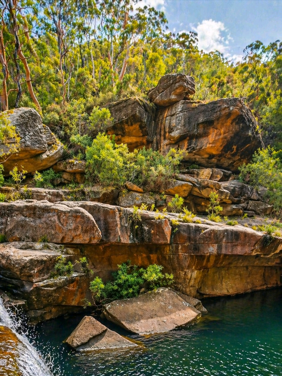 @Nature Love Australia 🌴