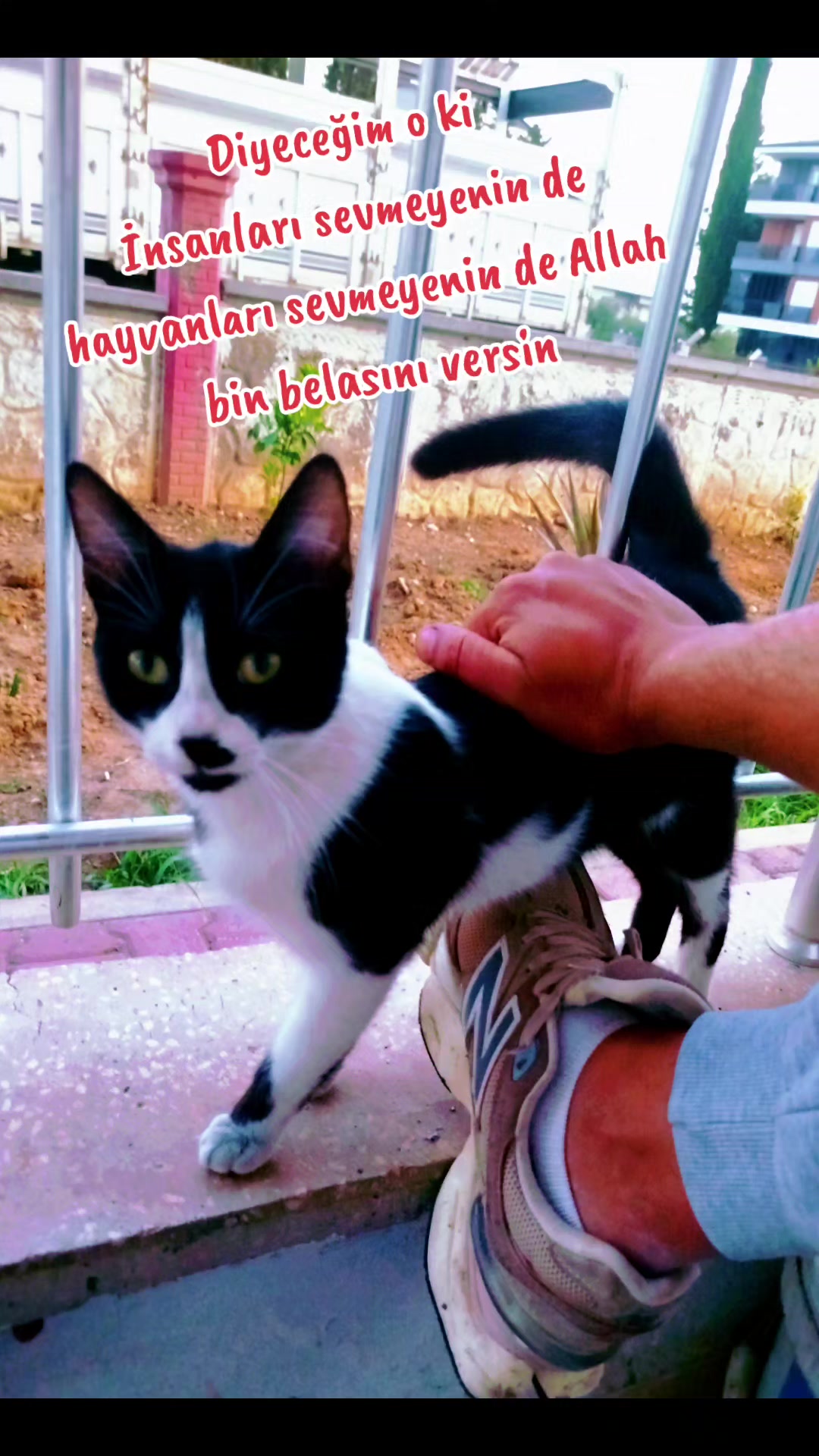 @AHMETCAN 07