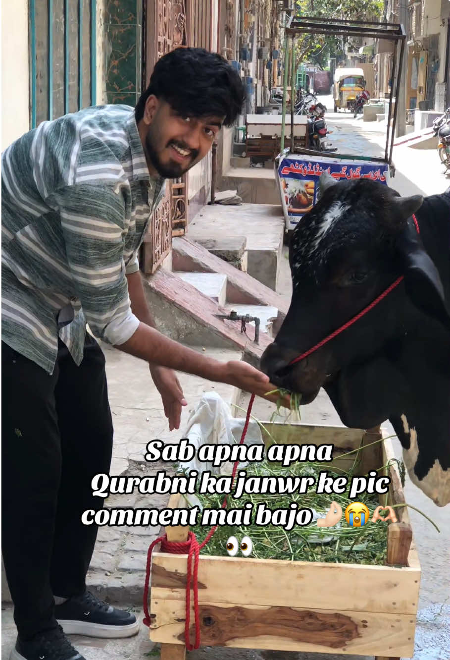 @احمد شیخ.✨🕊️