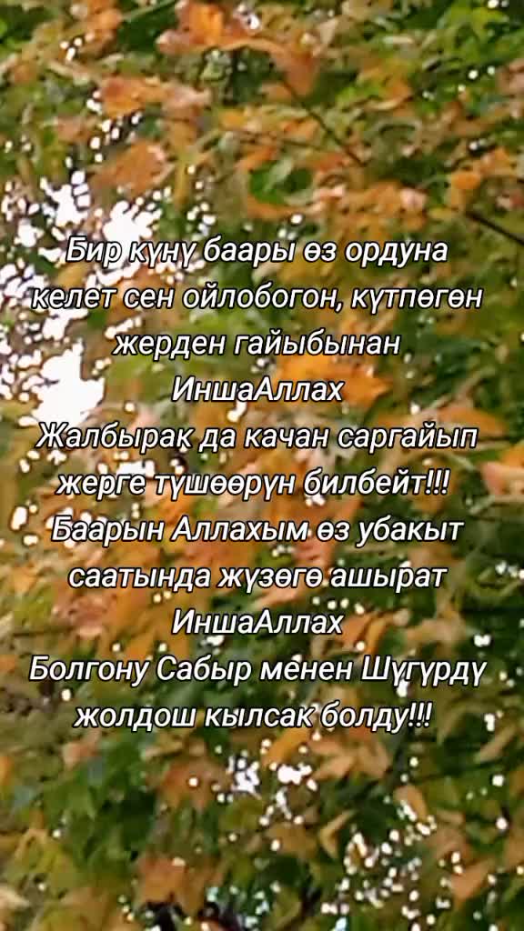 @BERMETIC