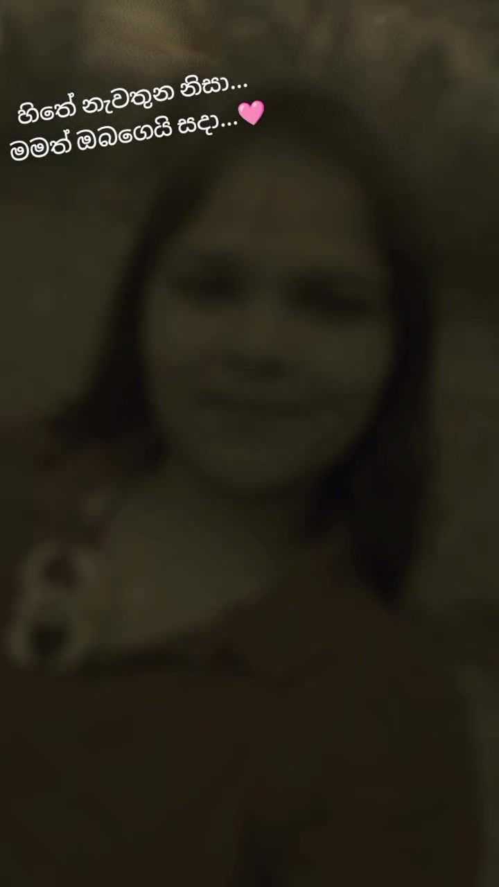 @donidoni5839