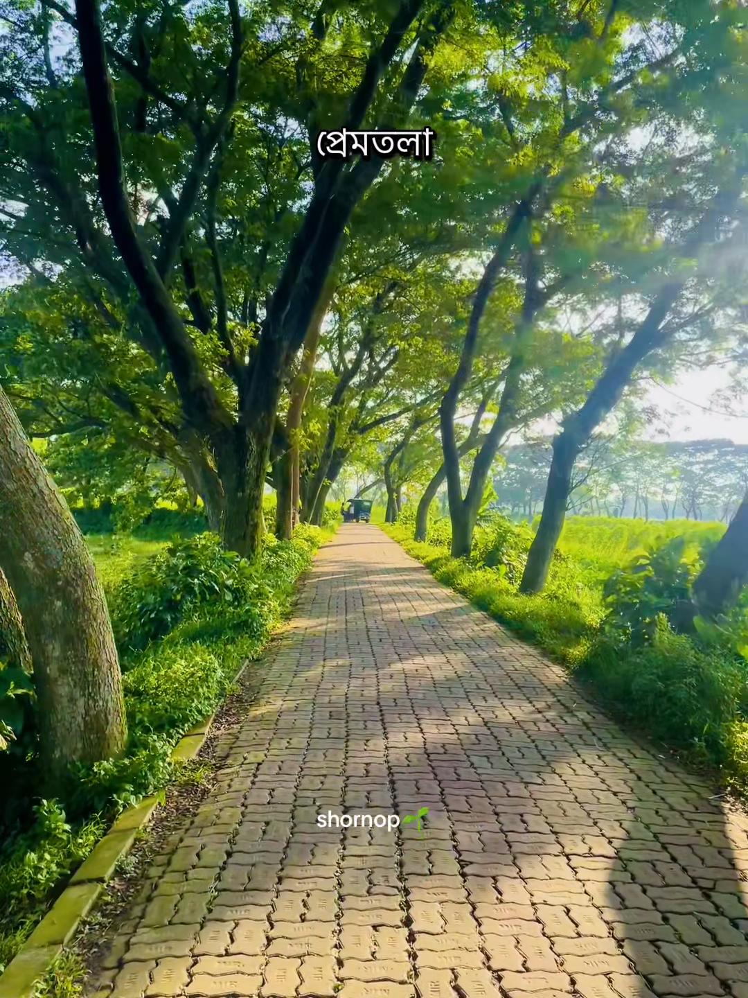 @🕊️♡Տԩόɹ𝖓ό𝒑🌱🧢