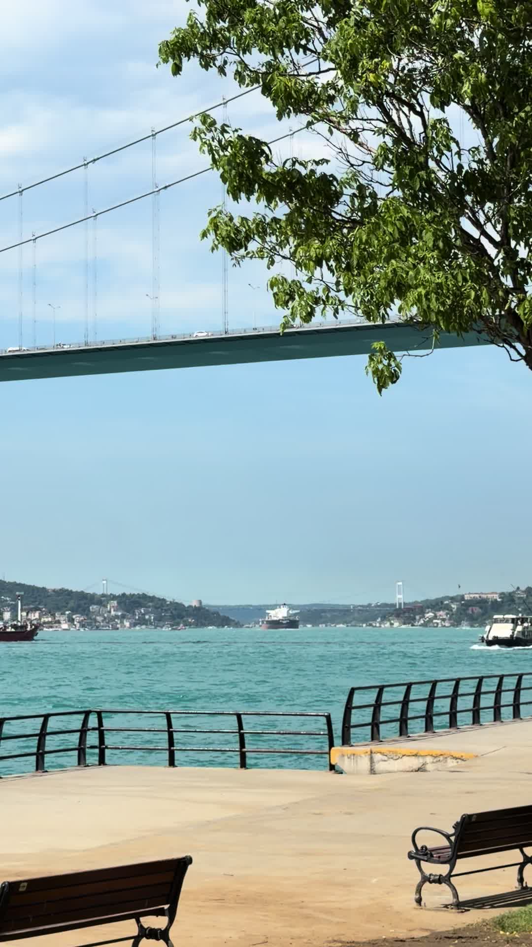 @istanbulcitylover