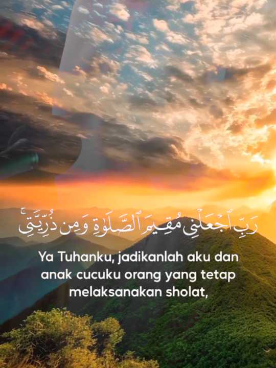 @Farida Far