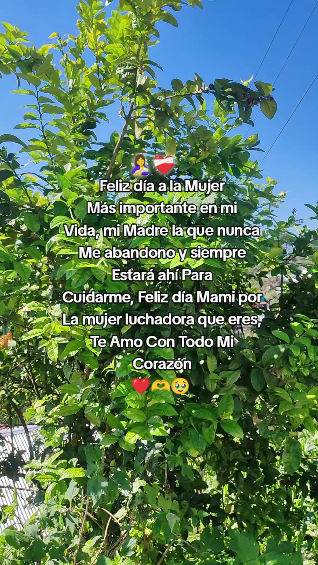 @🥹♥️ Liliana🥰🌹