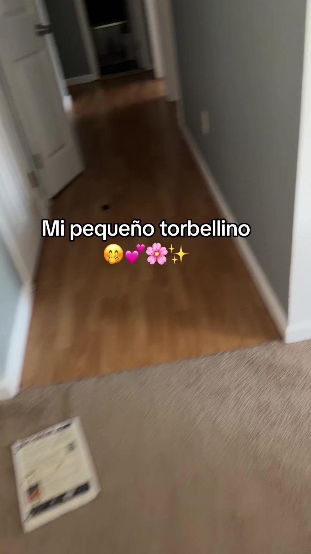 @Joselyn Melissa 🌸💕