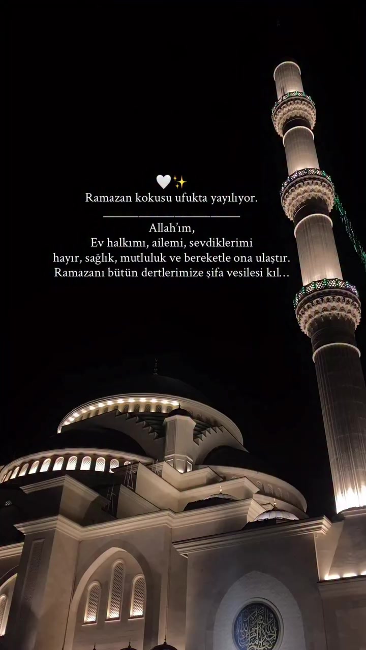 @fenerbahçe SK