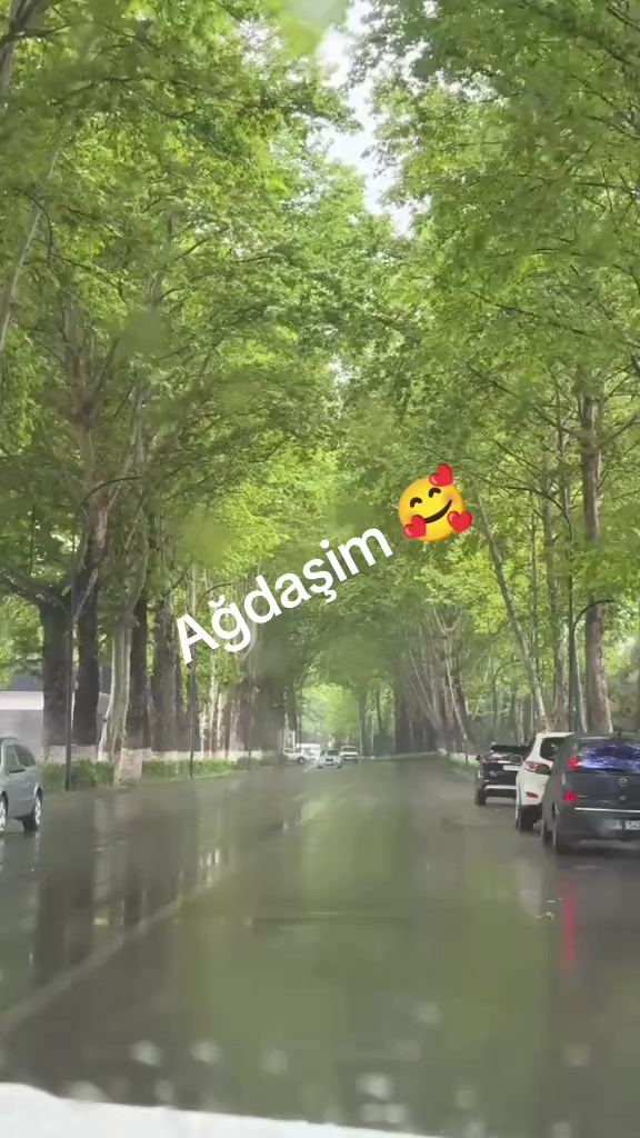 @Leyla 🇦🇿