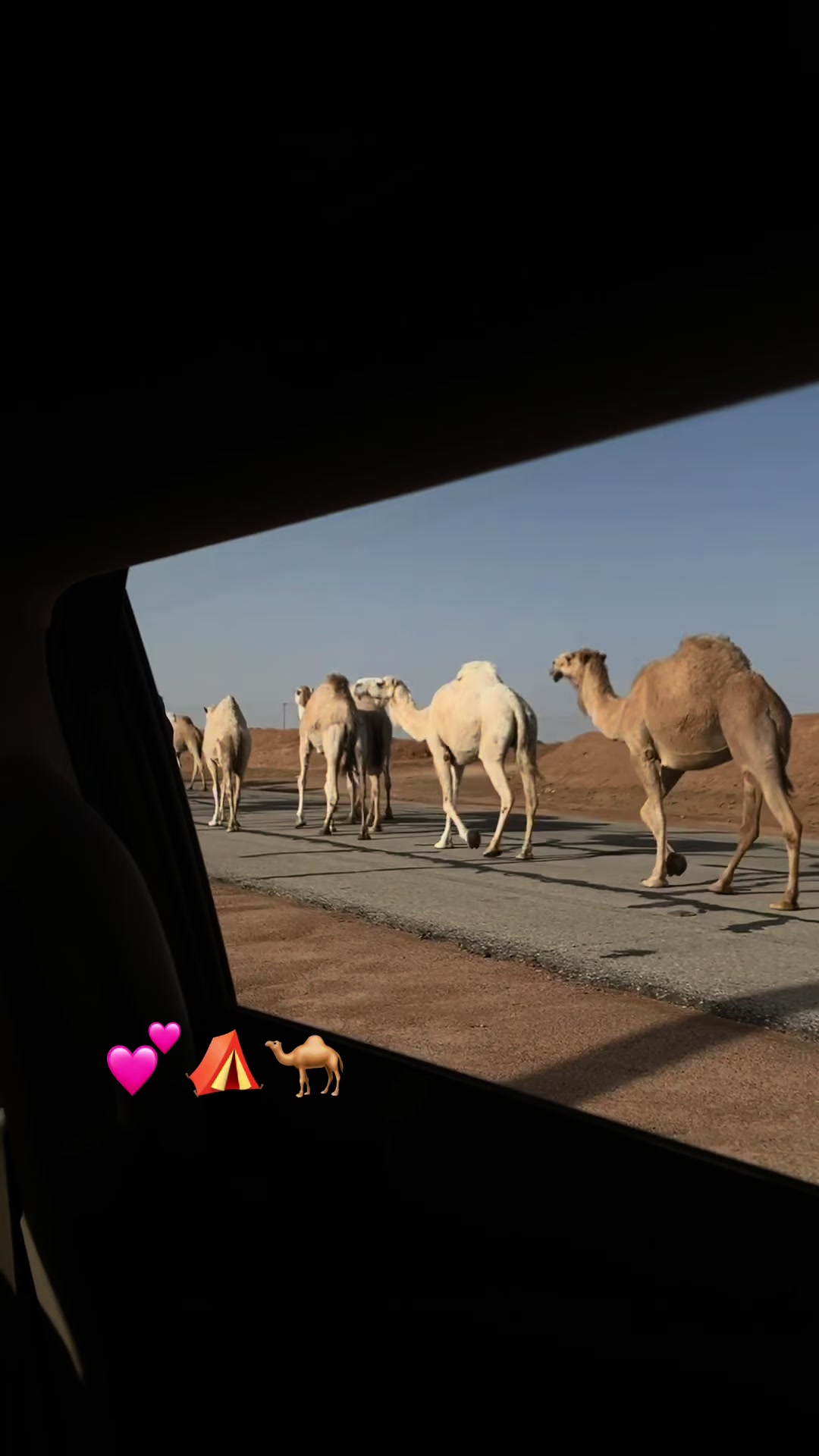 @لمى505