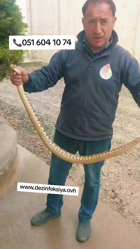 @dezinfeksiya_xidmeti