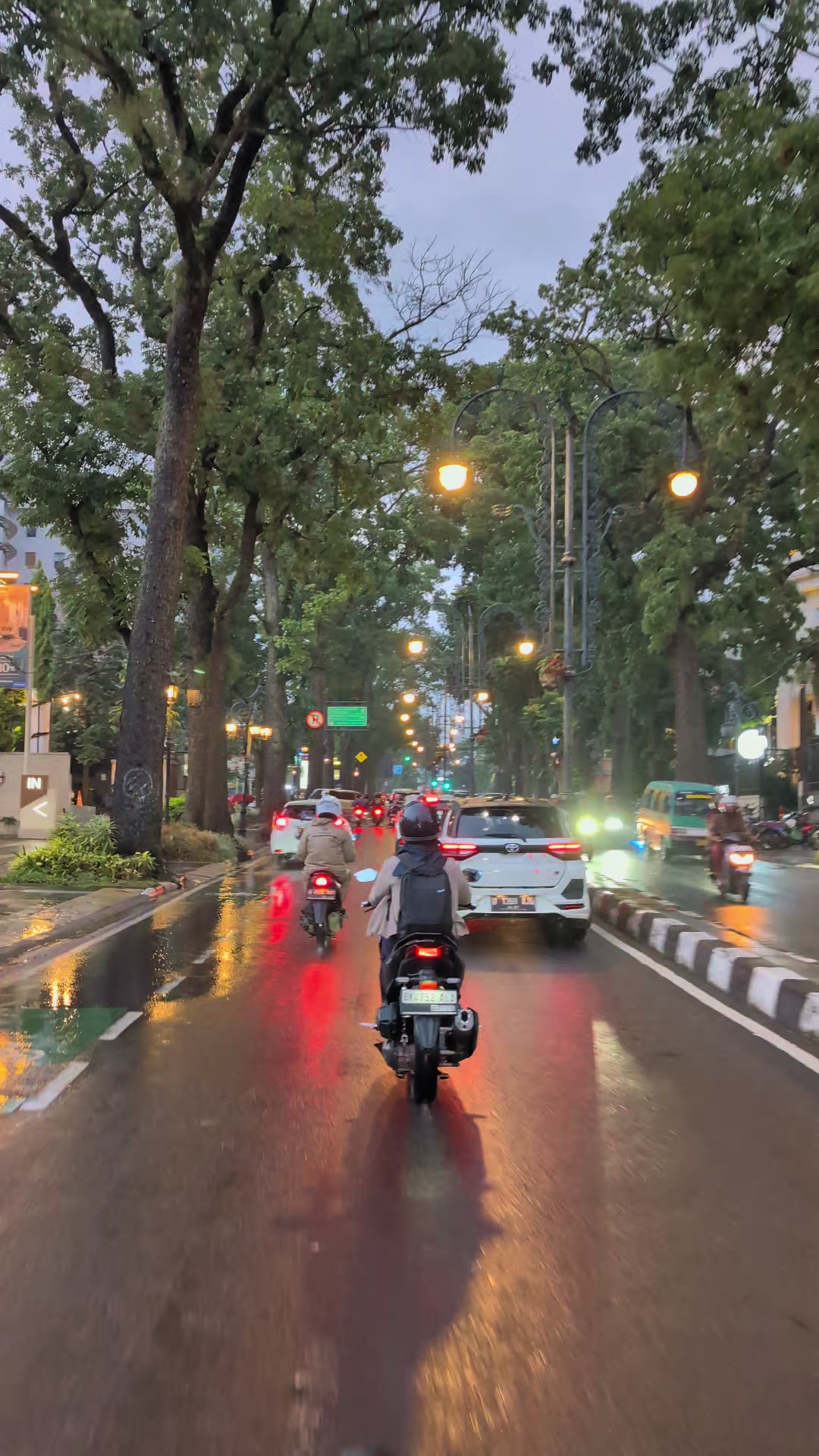 @street.bdgstory
