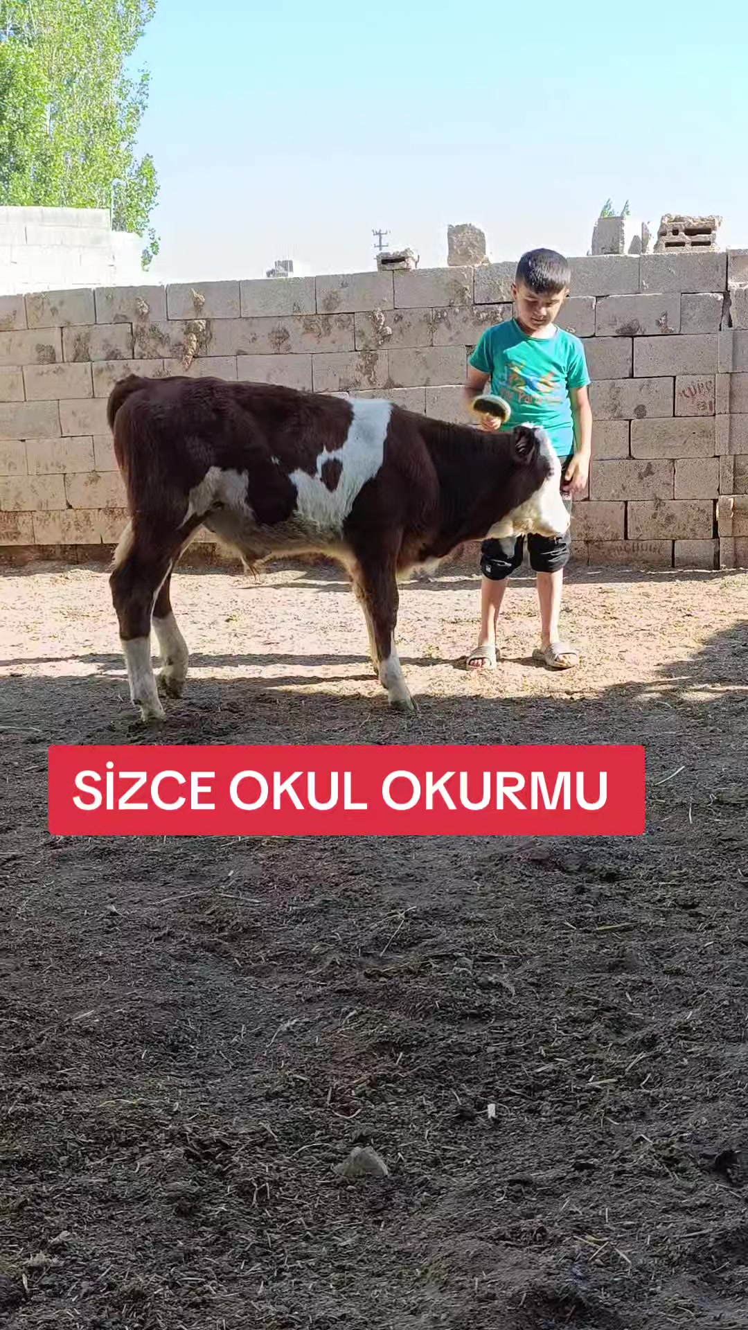 @Ömer 51