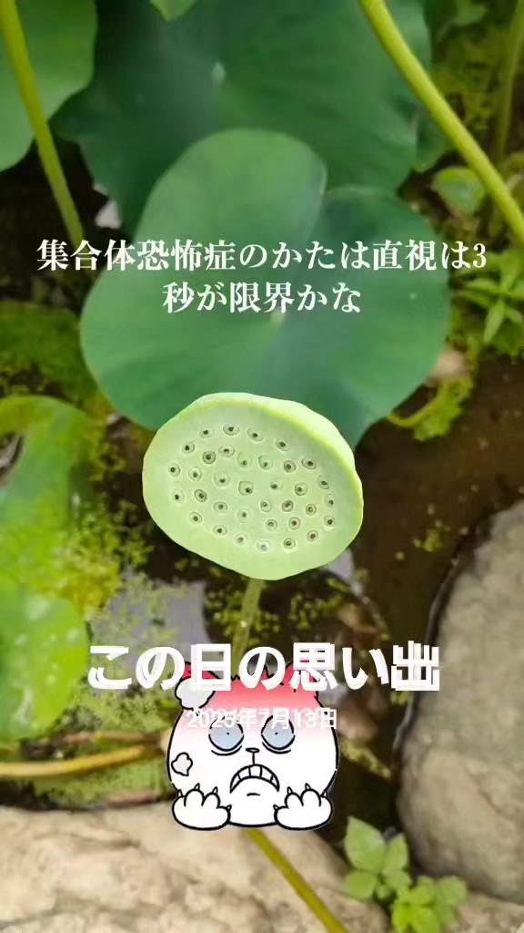 @⚜️🕌⚛️クロッケン⚛️🕌⚜️