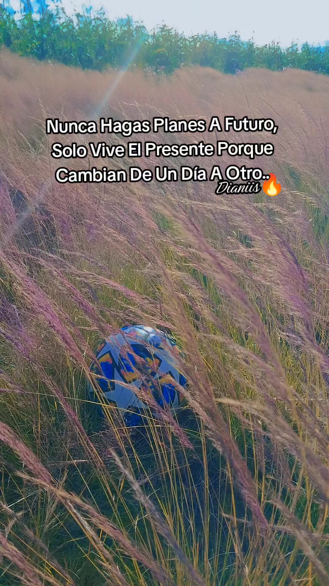 @DaYisLuka