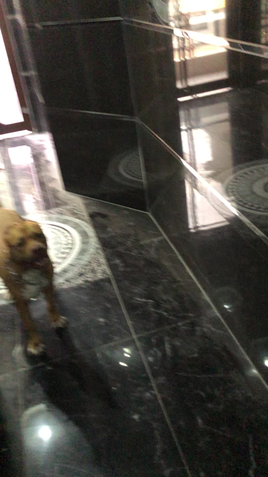 @Çağla çelik
