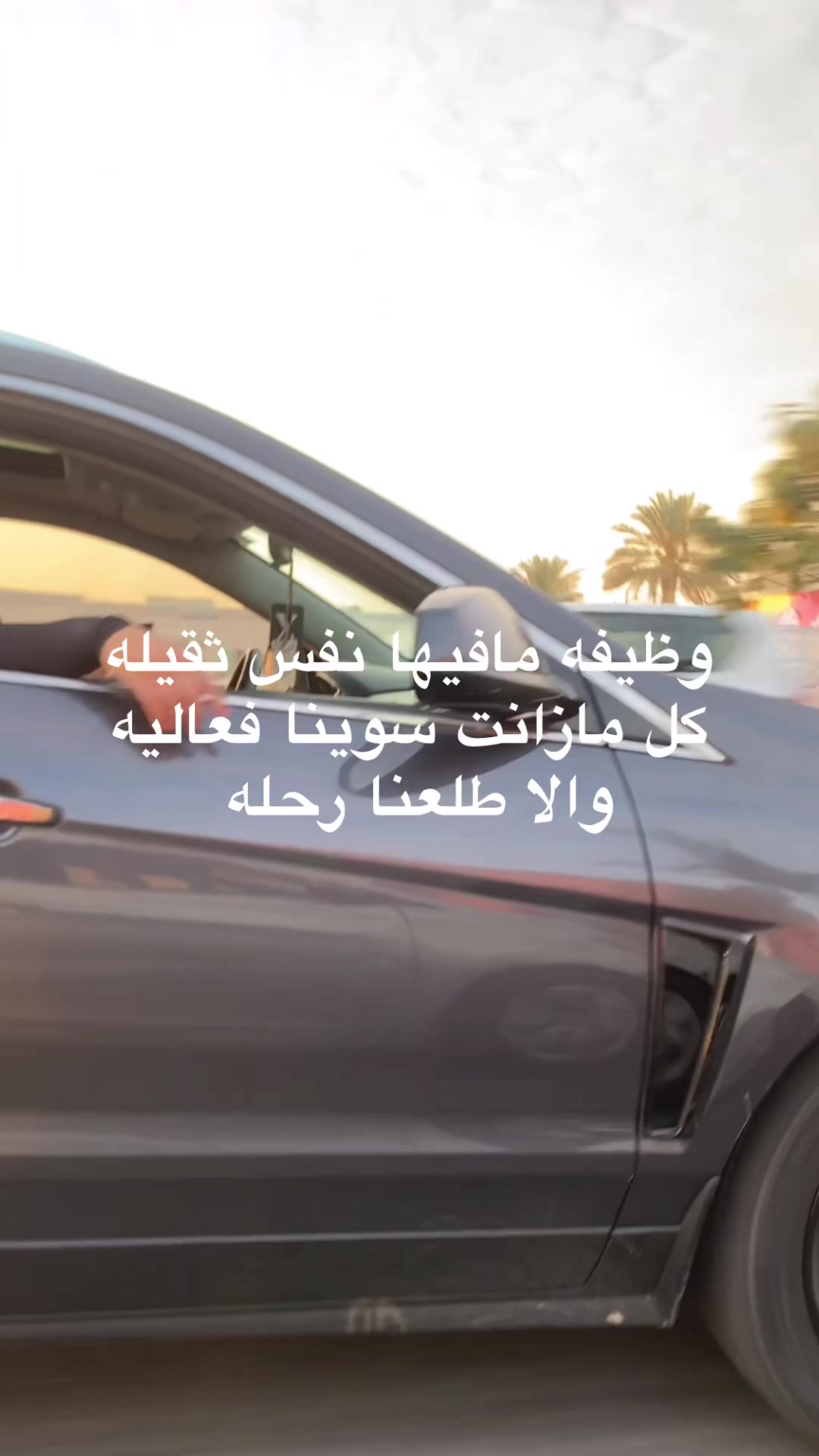 @صَفاء شِبيلي✨.