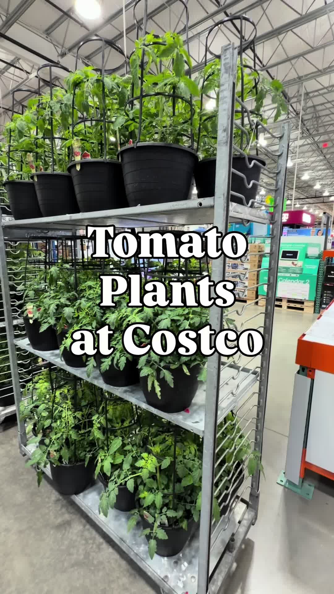 @costcofam4u