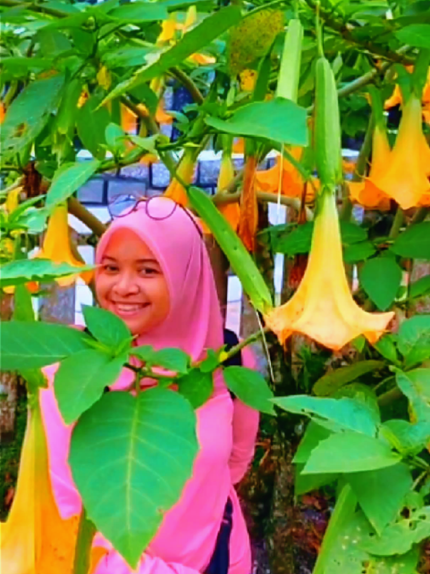 @SyahrulNizaZaini