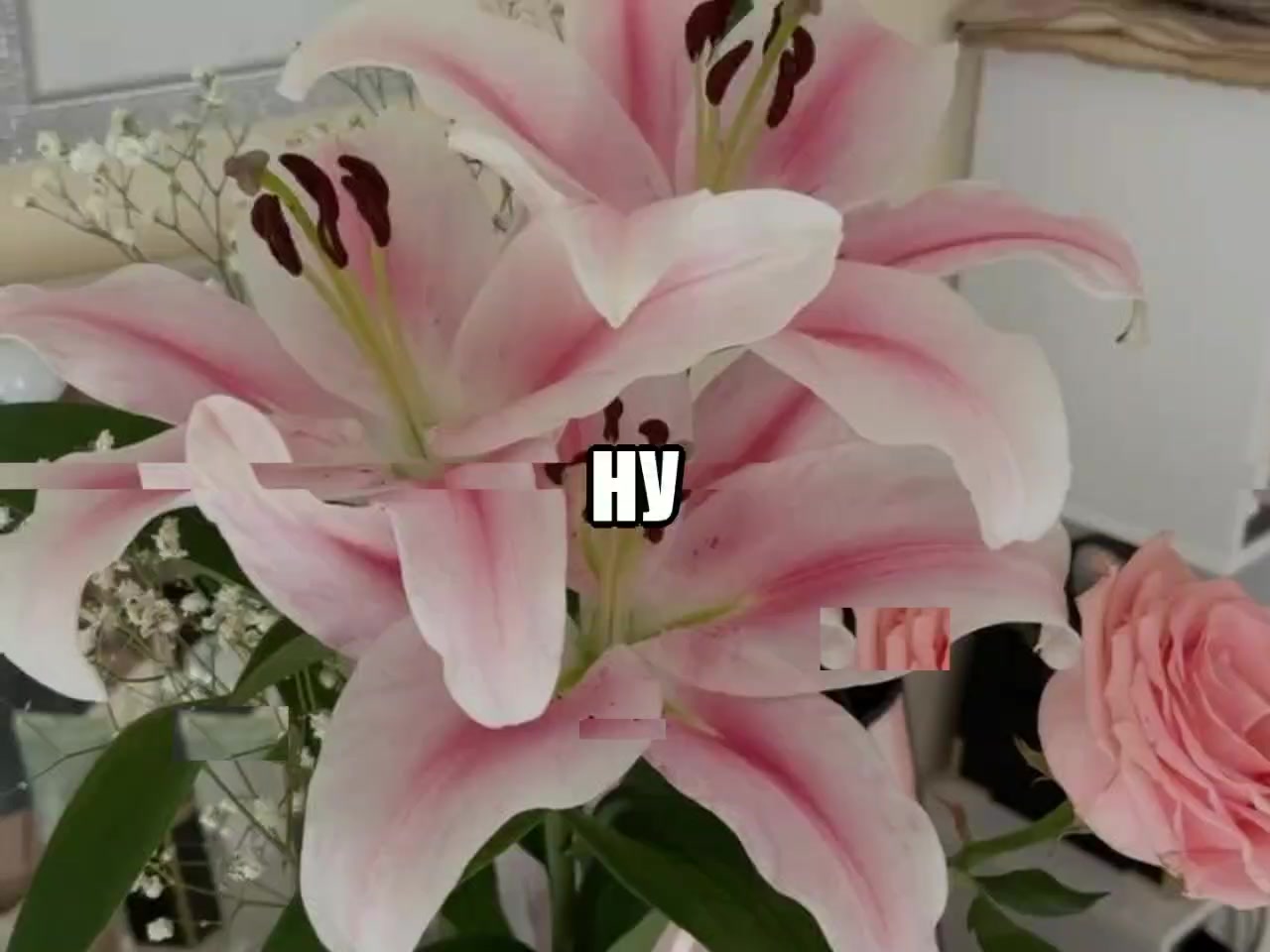 @звуки для липсингов