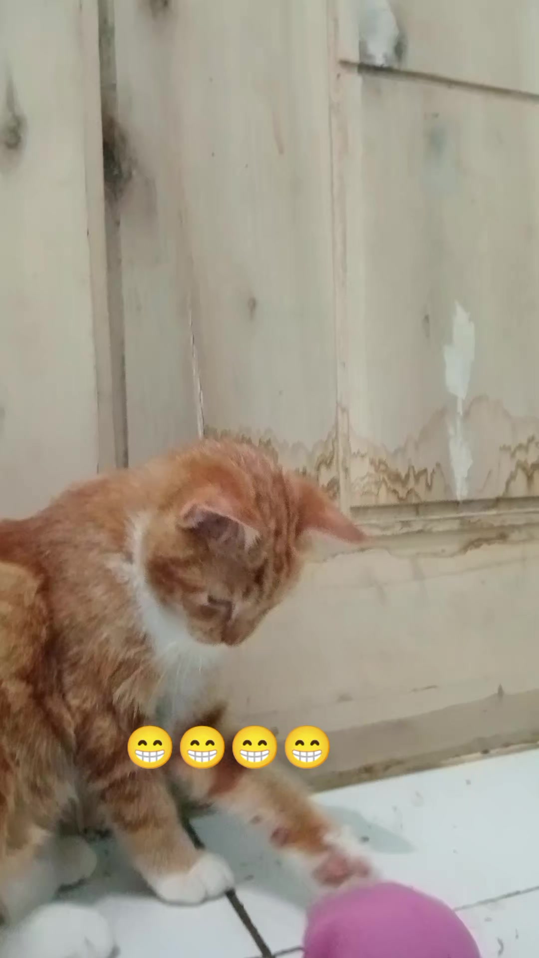 @Rizqi