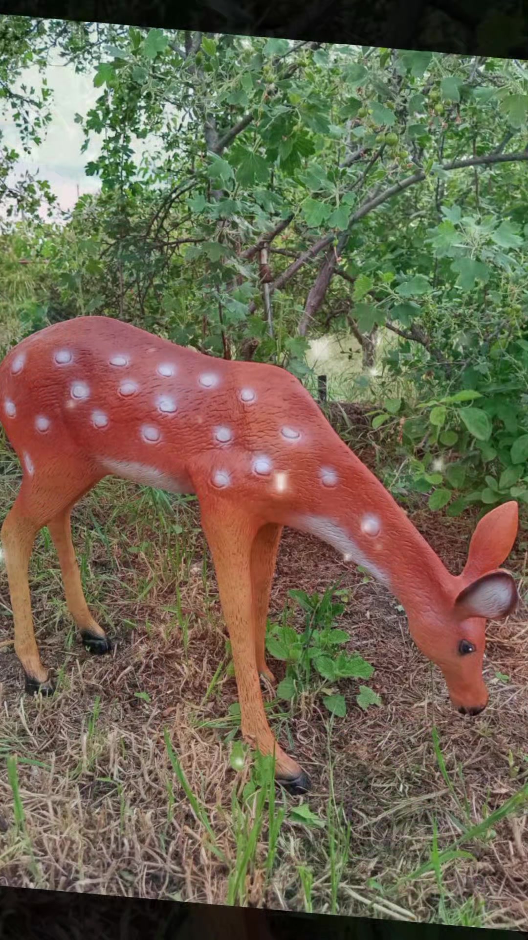 @НікоСад GARDEN DECOR