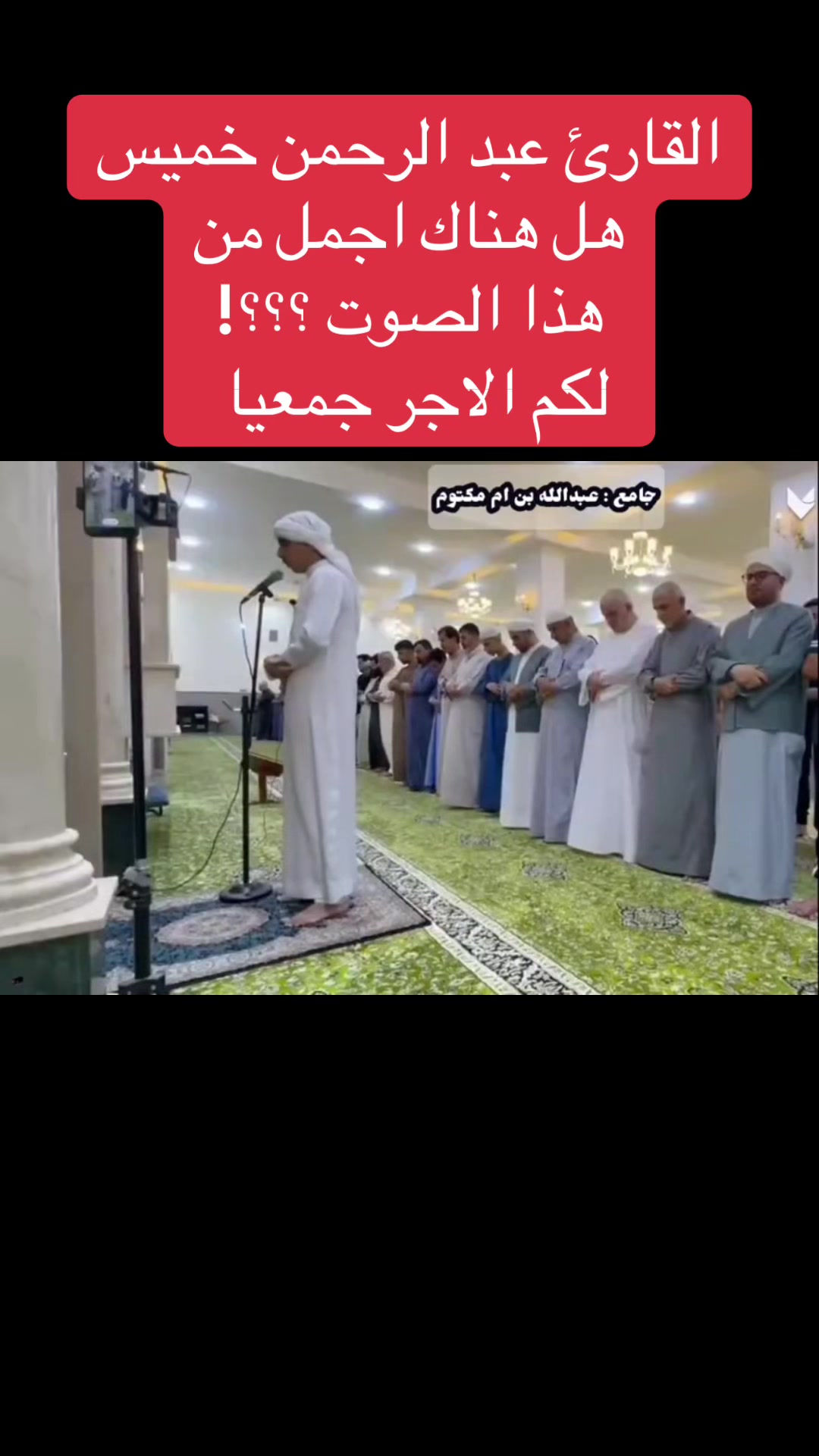 @عاجل وبس