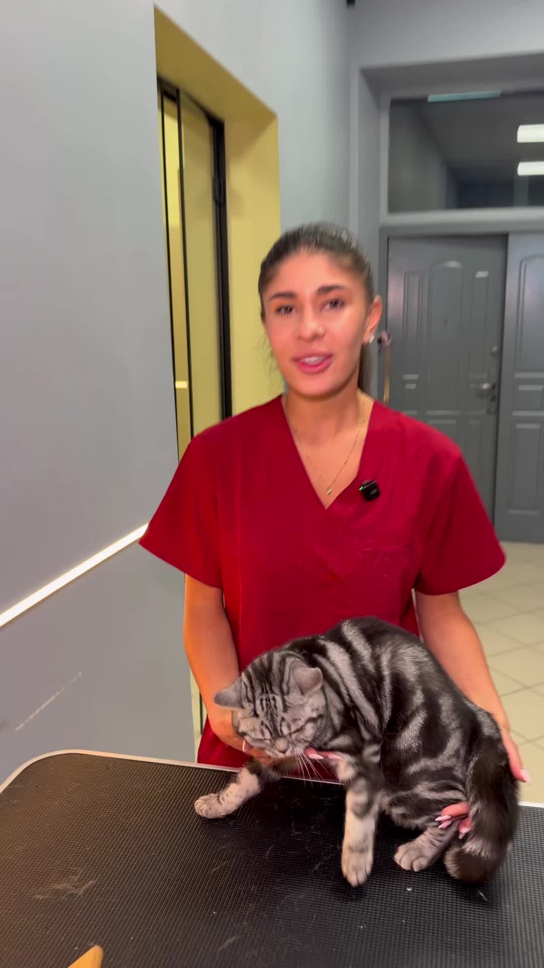@PetGroomingExpert.md