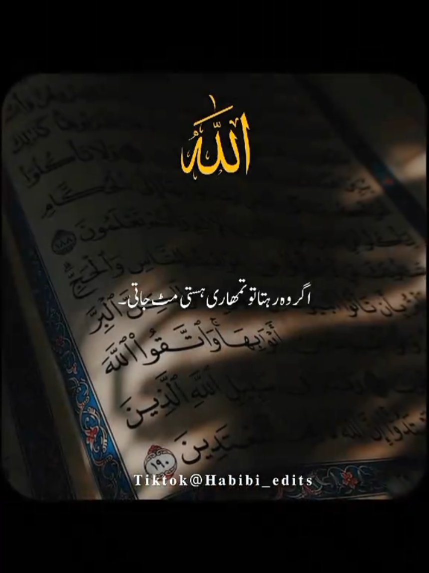 @Fiza Rao