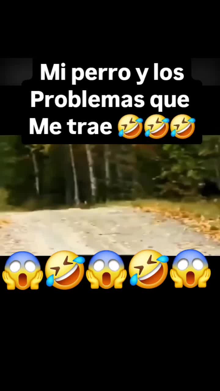 @cumbiamberaMX