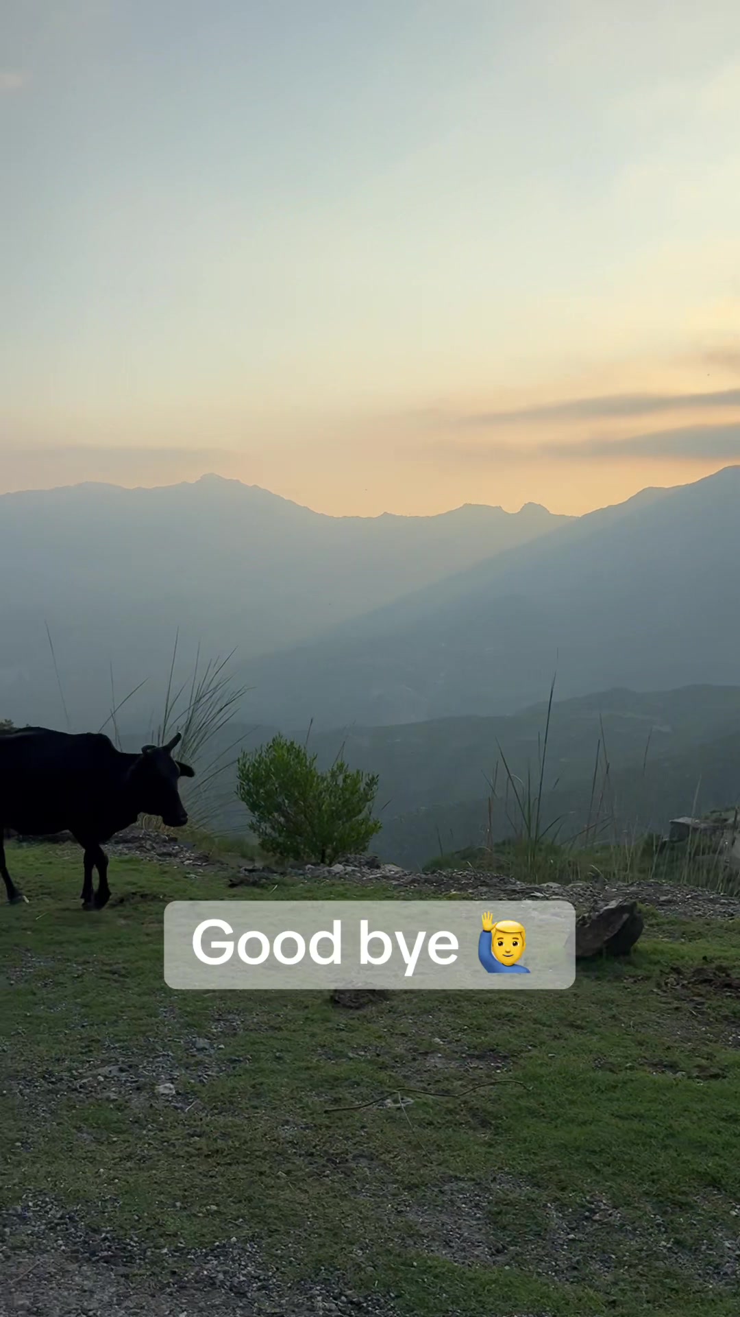 @HAIDER ALI