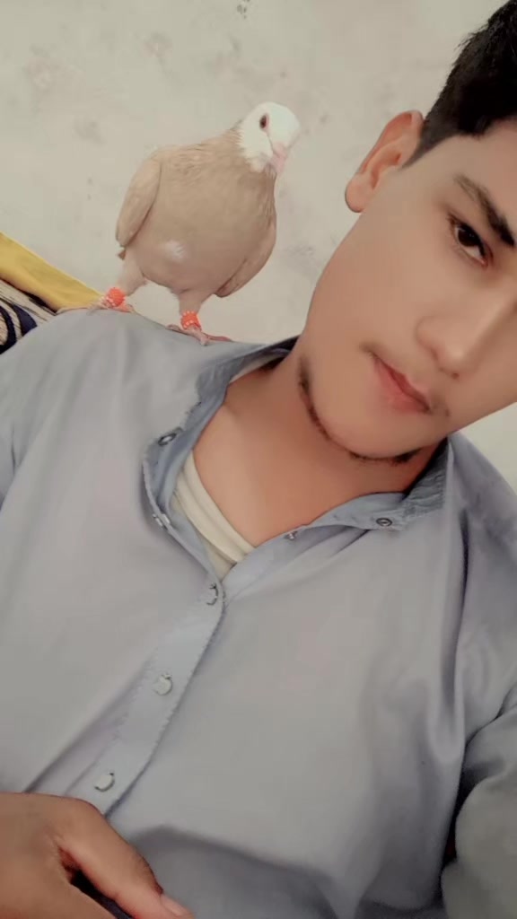 @♪ 𝒁𝑨𝑯𝑰𝑫_302 🦅