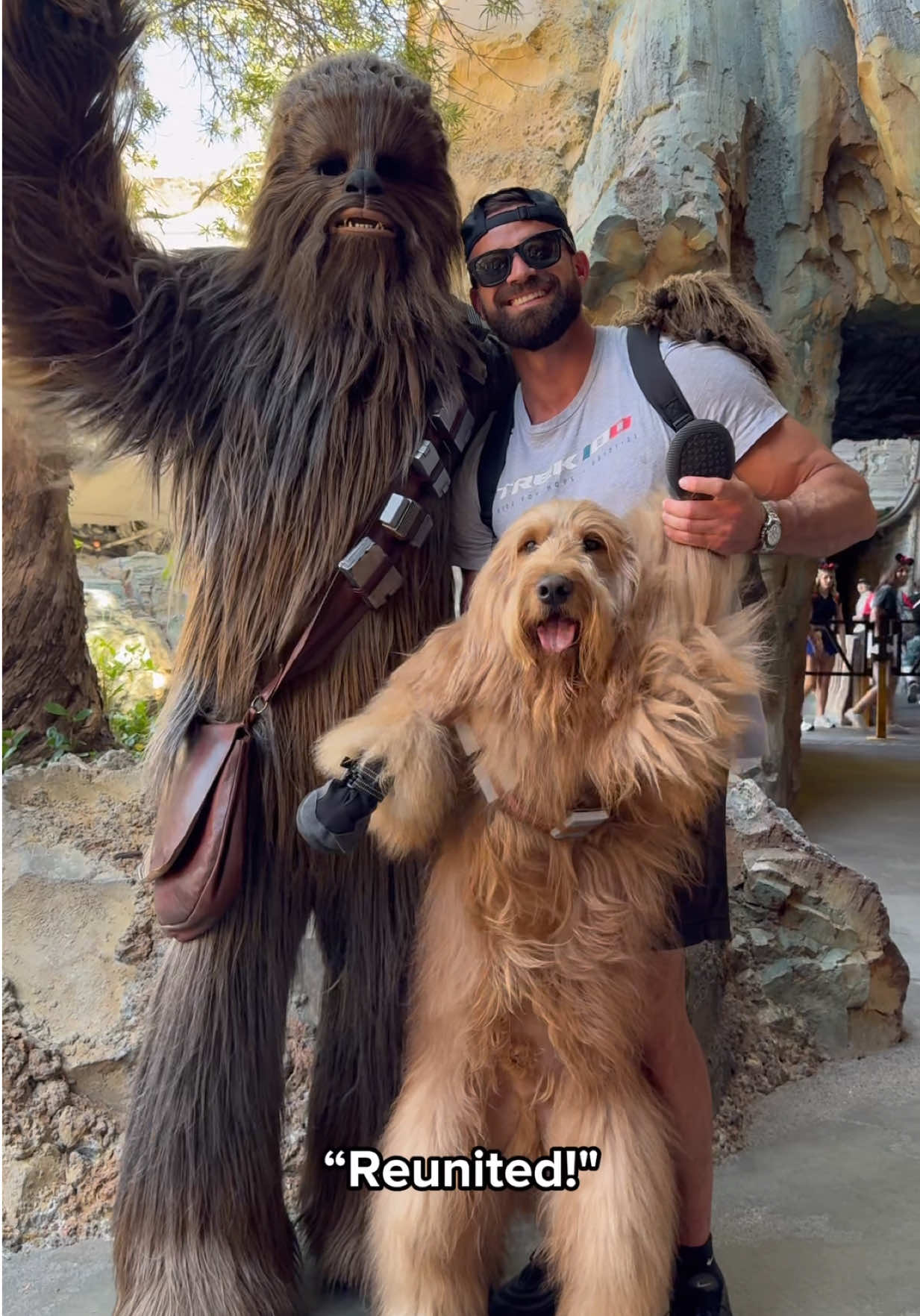 @Brodie The Goldendoodle
