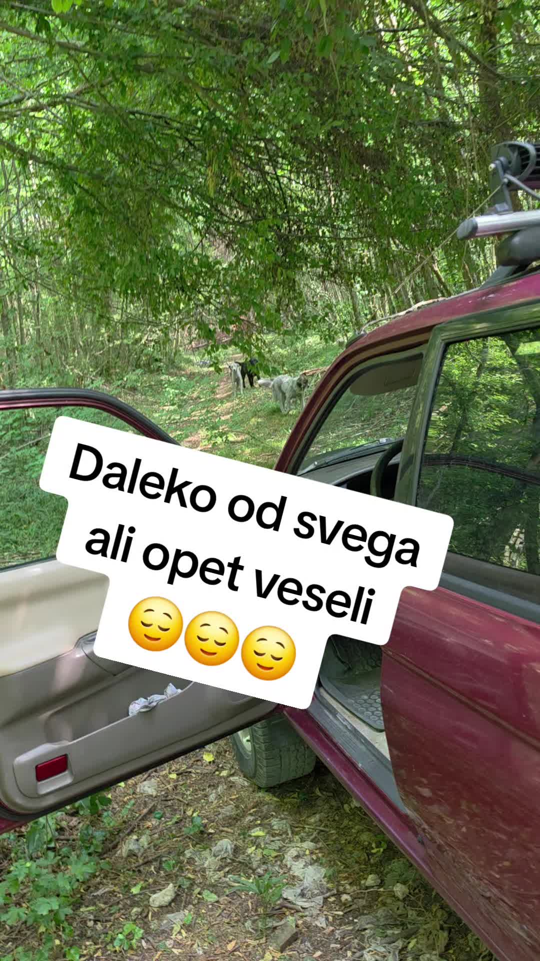 @Thedoogfather
