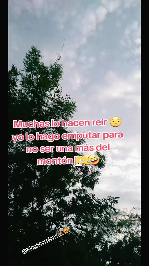 @😡TEAMO😡MUÑEKITACHIKITA D🦂
