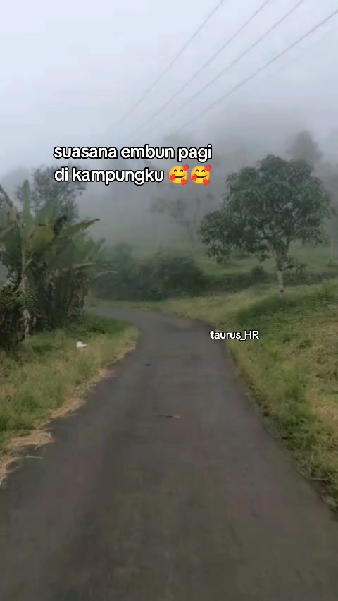 @๐ฅ๐๐ฆ๐ฃ๐ฆ๐ค_โโ