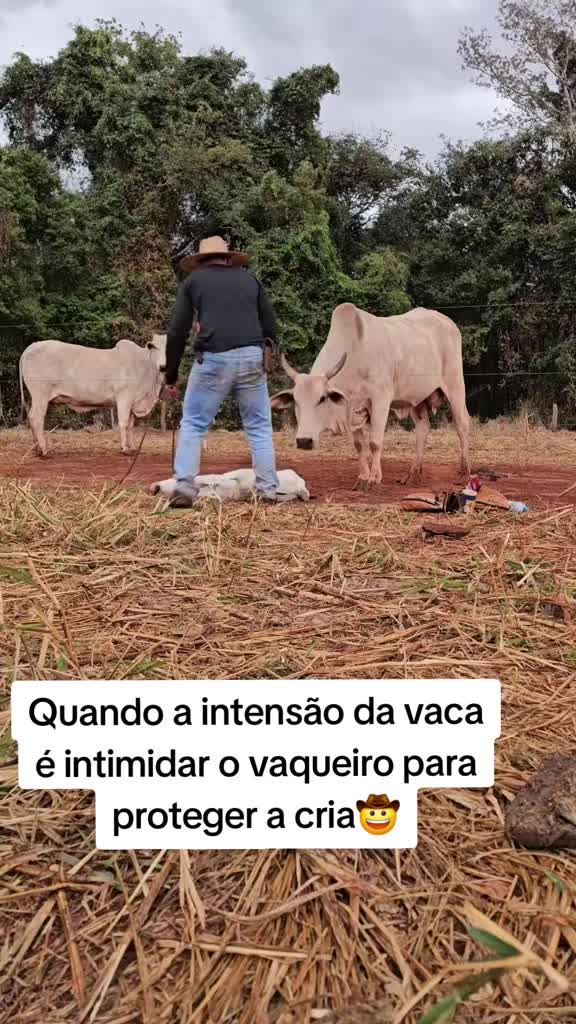 @Geovane neto