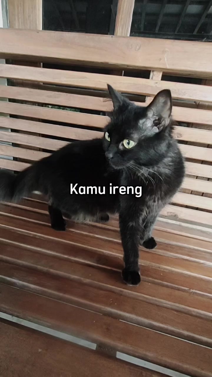 @AHMADKHAMIM โ๐๐ณ๐๏ธ