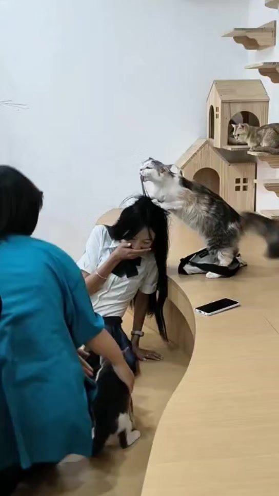@Thanh Châm