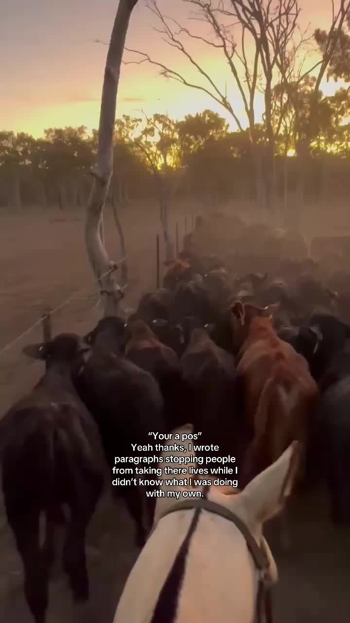 @𝐋𝐢𝐥𝐲 𝐋𝐨𝐰𝐢𝐬
