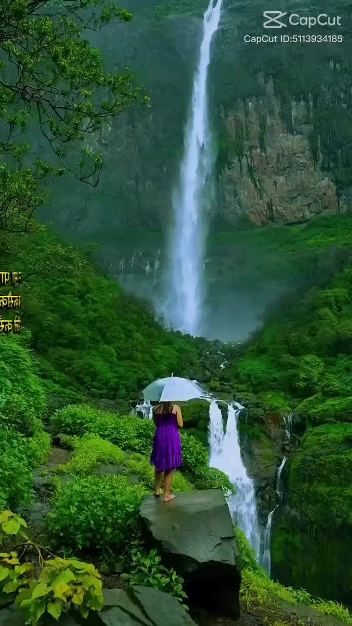 @priyasha143
