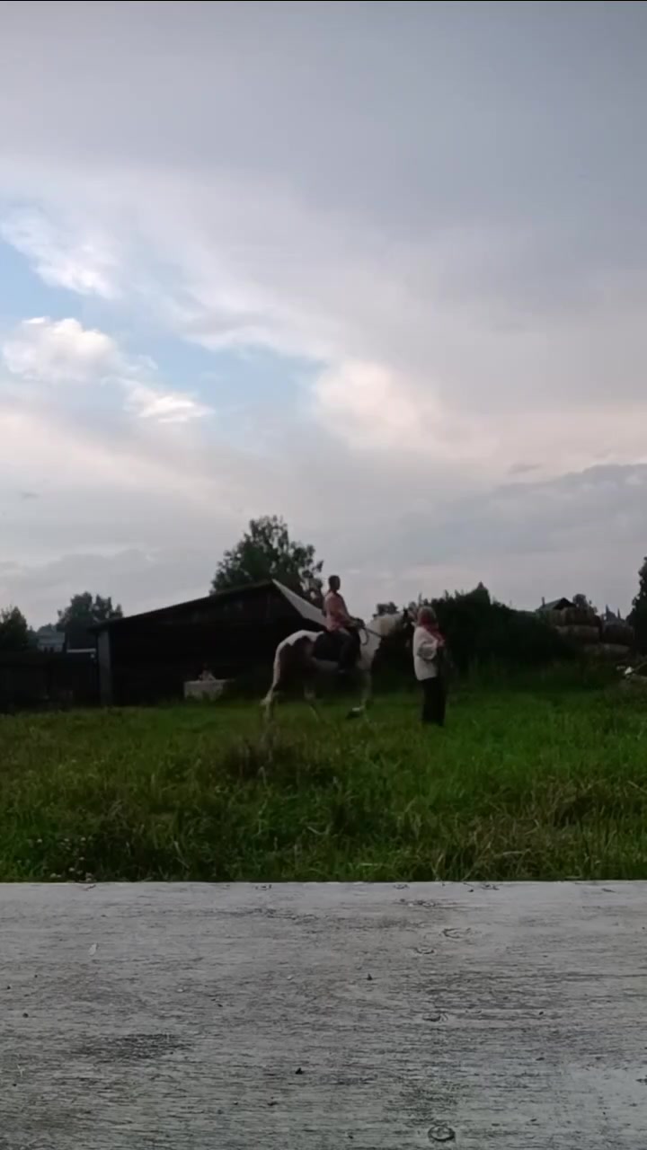@Бурмакина Дарья
