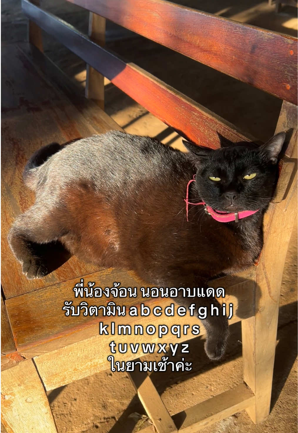 @ชื่อน้องจ้อนค่ะ