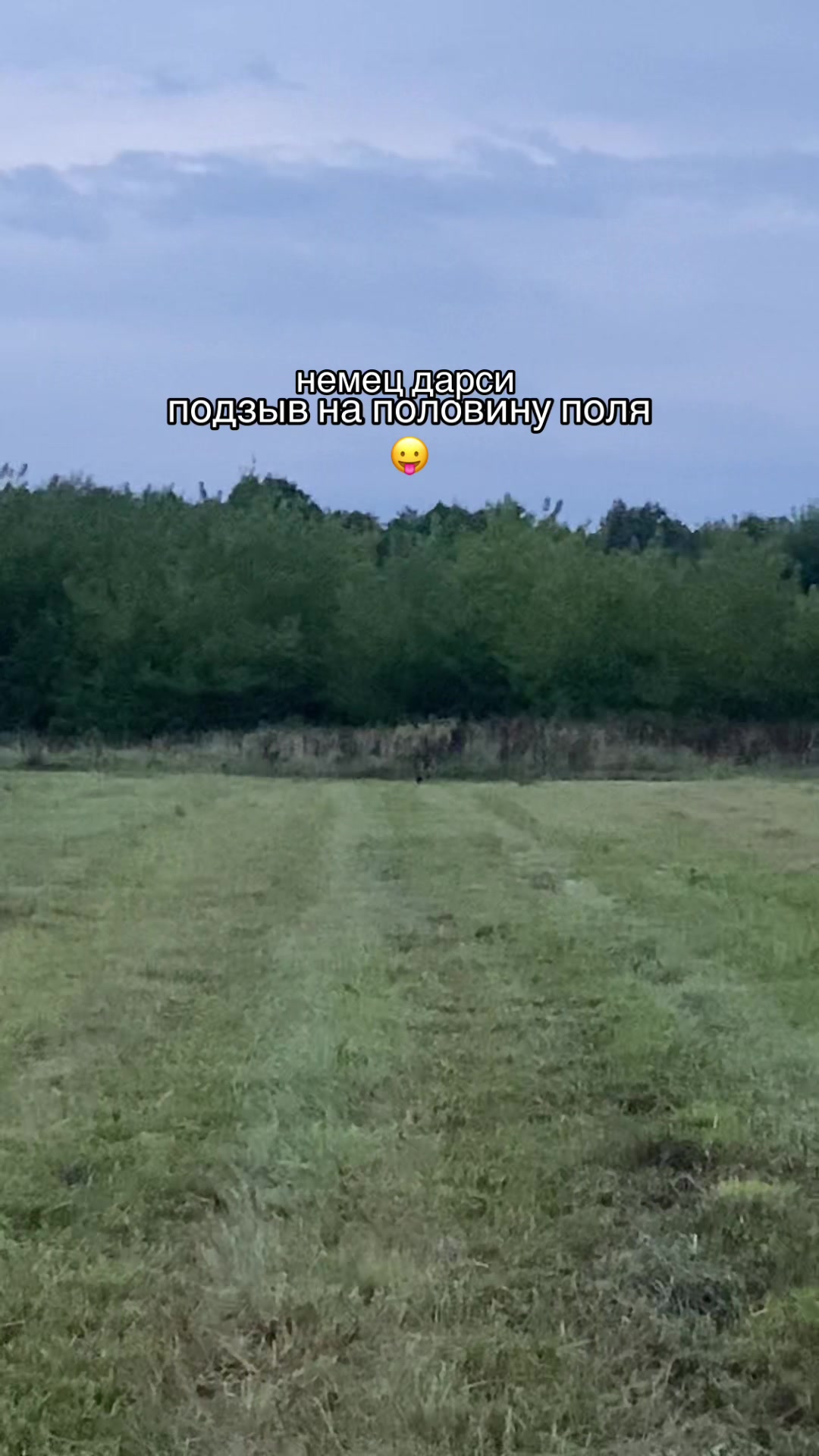@𝓭𝓪𝓻 𝓭𝓸𝓰🥨🍂