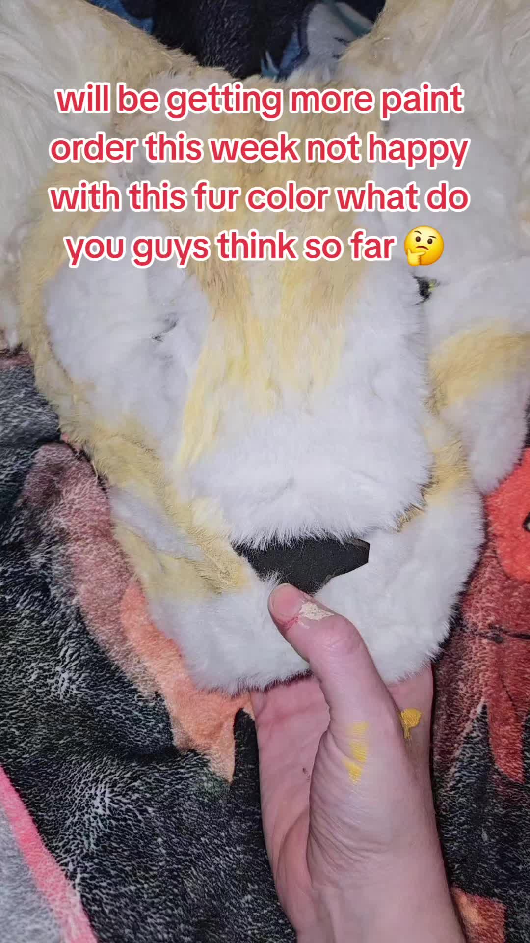 @oreothelynx🔜CFF