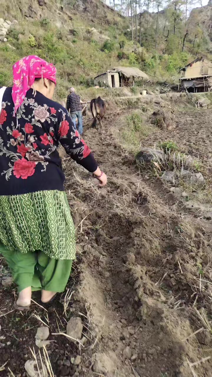 @amrita khadka oli