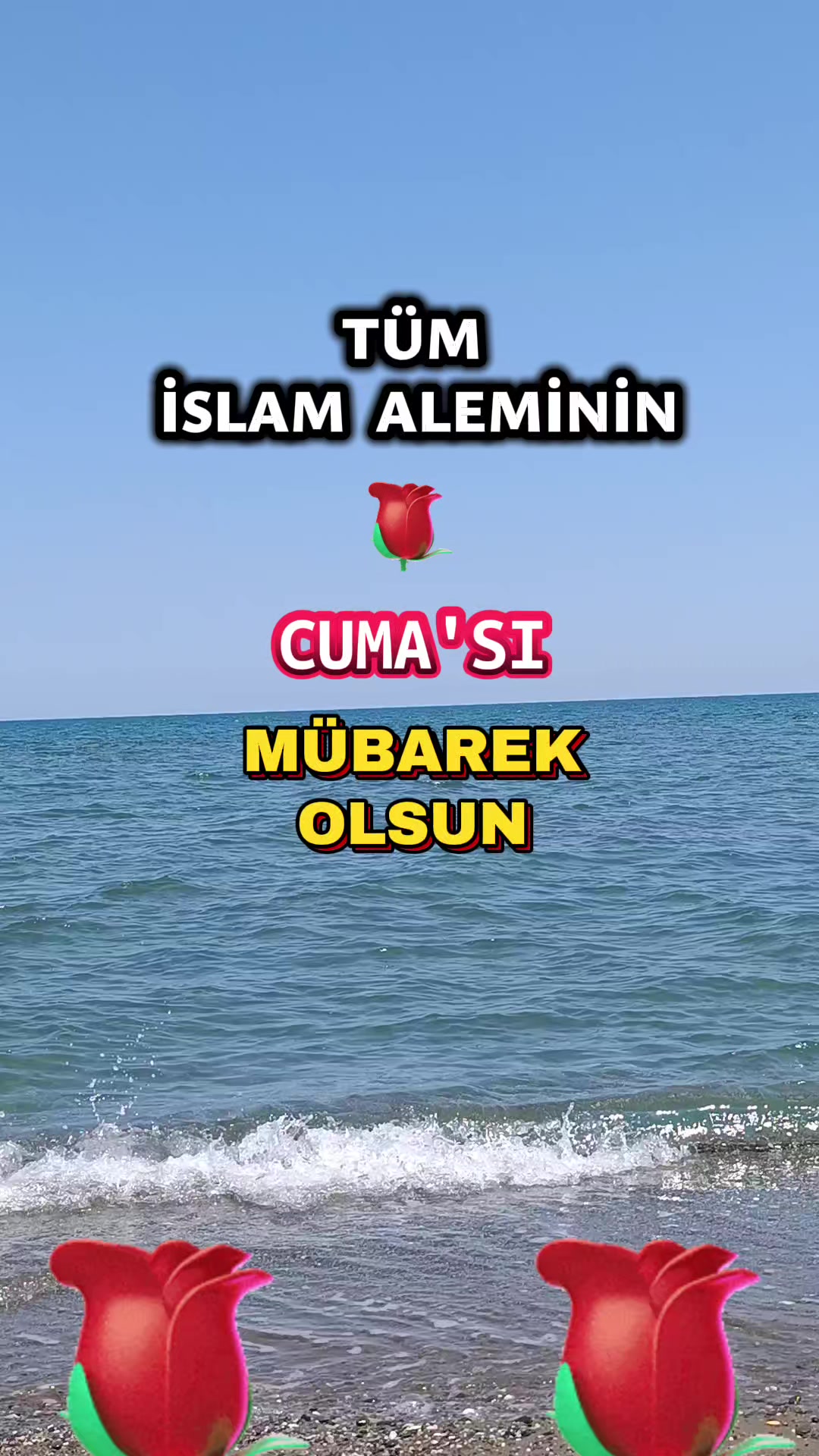 @@hayatsevinceguzel5537